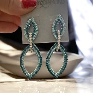 Black Diamond Elegant Blue and Silver Drop Earrings